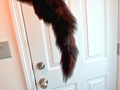 Vintage Fur Collar/Stole