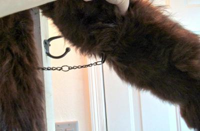 Vintage Fur Collar/Stole