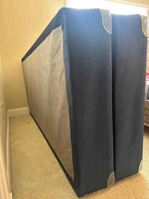 Two Single Box Springs