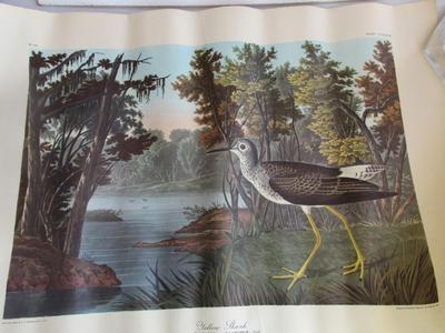 Super Color Vintage Print, Yellow Shank