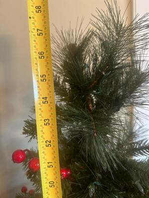 Two 5’ Christmas Trees in Pots