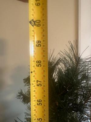 Two 5’ Christmas Trees in Pots