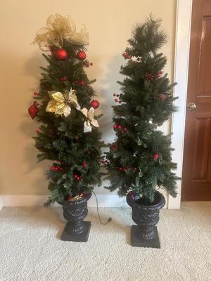 Two 5’ Christmas Trees in Pots