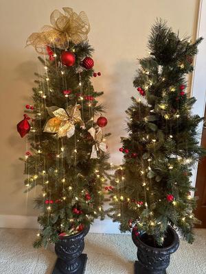 Two 5’ Christmas Trees in Pots