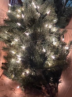 9ft Westinghouse Balsam Fir Christmas Tree