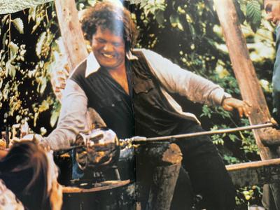 CHIHULY and The 20th Century Art Book