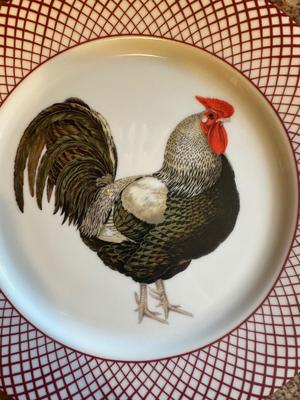 Haldon Group - Four Plates & Serving Platter