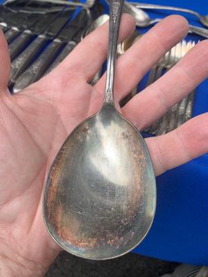 Rogers Brothers Silverplate Flatware Set