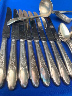 Rogers Brothers Silverplate Flatware Set