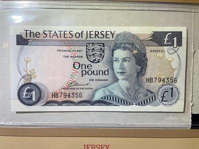 Jersey 1 Pound Banknote/Currency in Uncirculated Condition by Fleetwood as Pictured.