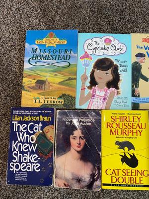 NOVELS AND OTHER BOOKS FOR OLDER GRADE SCHOOL AGED KIDS
