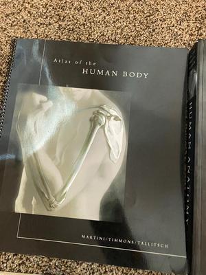 NEAT BOOKS ON THE HUMAN BODY, SENIORS AND MORE!