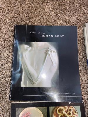 NEAT BOOKS ON THE HUMAN BODY, SENIORS AND MORE!