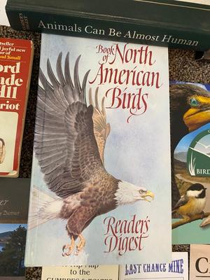 AN ASSORTMENT OF DIFFERENT READING MATERIAL