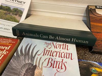 AN ASSORTMENT OF DIFFERENT READING MATERIAL