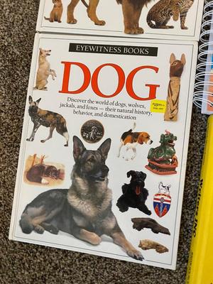 FOR KIDS THAT LOVE BOOKS, THESE ARE PRETTY COOL!