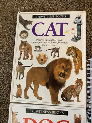 FOR KIDS THAT LOVE BOOKS, THESE ARE PRETTY COOL!