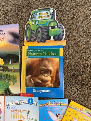 BOOKS FOR THE YOUNGER AGE GROUPS