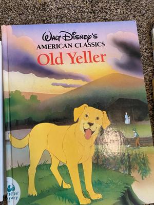 BOOKS FOR THE YOUNGER AGE GROUPS