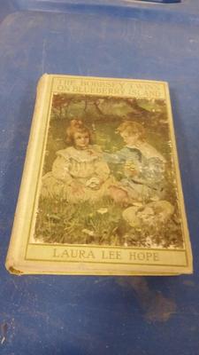LOT 136 - OLD BOOK BOBBSEY TWINS