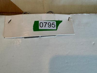 Elvis Framed Picture