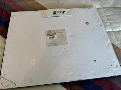 Elvis Framed Picture