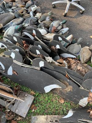 HUGE LOT Duck Hunting Decoys - Ducks Geese +++