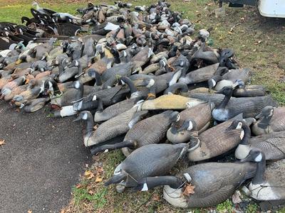 HUGE LOT Duck Hunting Decoys - Ducks Geese +++