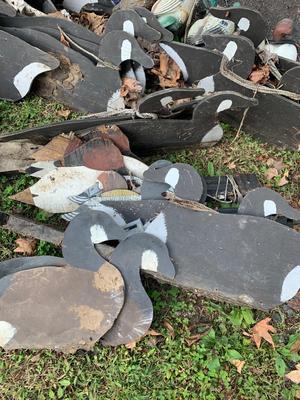 HUGE LOT Duck Hunting Decoys - Ducks Geese +++