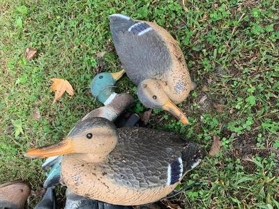 HUGE LOT Duck Hunting Decoys - Ducks Geese +++