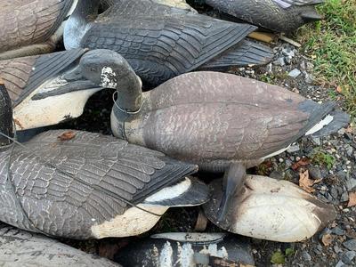 HUGE LOT Duck Hunting Decoys - Ducks Geese +++