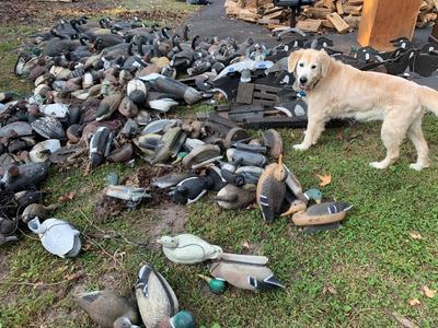HUGE LOT Duck Hunting Decoys - Ducks Geese +++