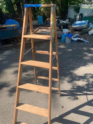 Warner Wood 6 Foot Ladder