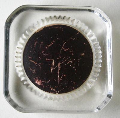 Antique Paperweight with image of Kitten