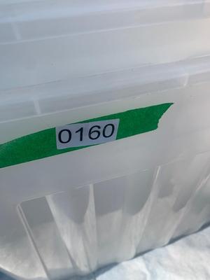 Plastic Storage Tubs Lot