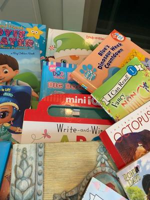 Large Children’s Books Lot