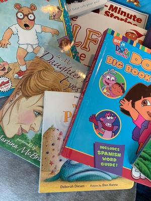 Large Children’s Books Lot