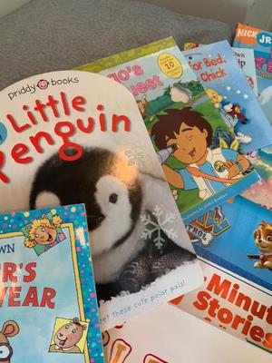 Large Children’s Books Lot