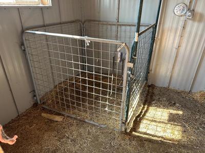 SMALL ANIMAL PEN/TRANSPORTER