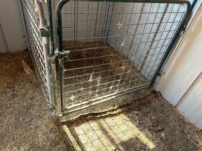 SMALL ANIMAL PEN/TRANSPORTER