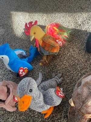 BEANIE BABIES