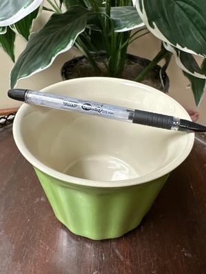 Soup mug
