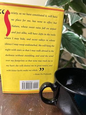 The complete works of Oscar wild and large mug