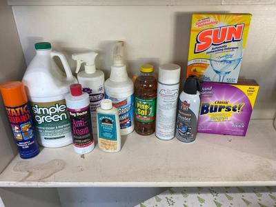 AN ASSORTMENT OF CLEANING SUPPLIES