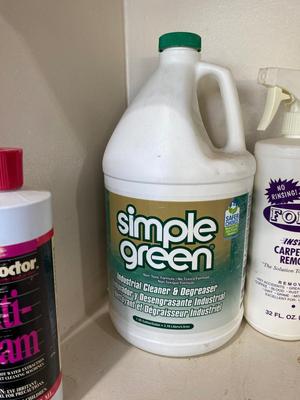 AN ASSORTMENT OF CLEANING SUPPLIES