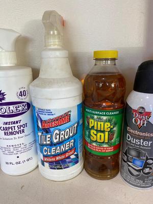 AN ASSORTMENT OF CLEANING SUPPLIES