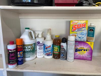 AN ASSORTMENT OF CLEANING SUPPLIES