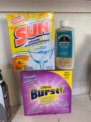 AN ASSORTMENT OF CLEANING SUPPLIES