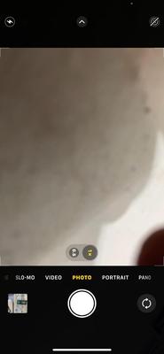 DISTILLED WATER, WHITE VINEGAR, CANNING SALT AND ROCK SALT