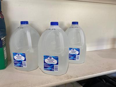DISTILLED WATER, WHITE VINEGAR, CANNING SALT AND ROCK SALT